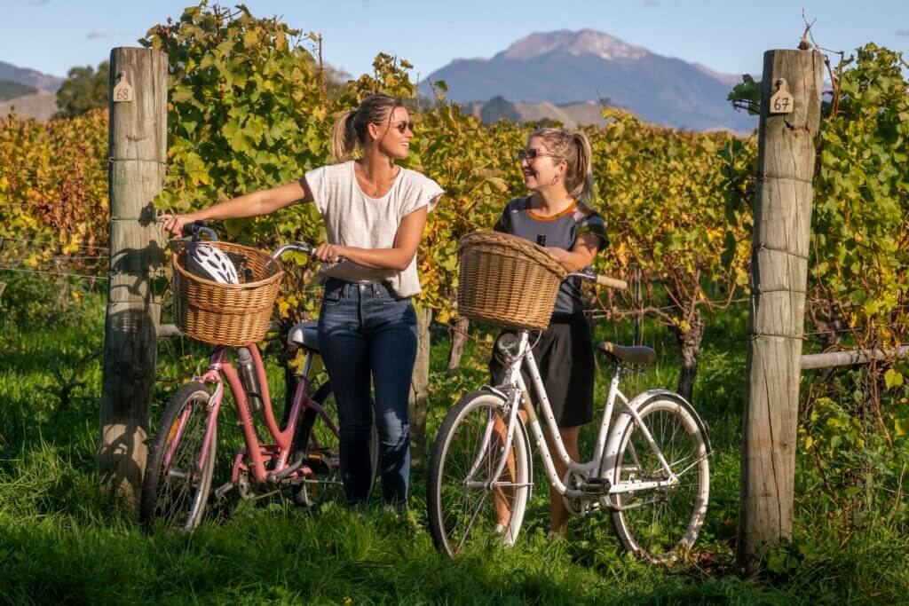 Autumn in the vineyards on the Great Taste Trail
