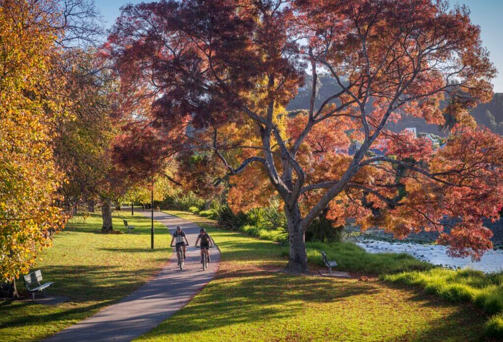 Riders on the cycle path along the Maitai river.