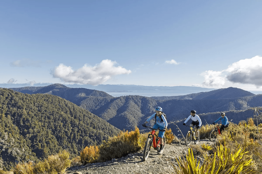 Mountain bikers riding the Coppermine Trail, Nelson, New Zealand