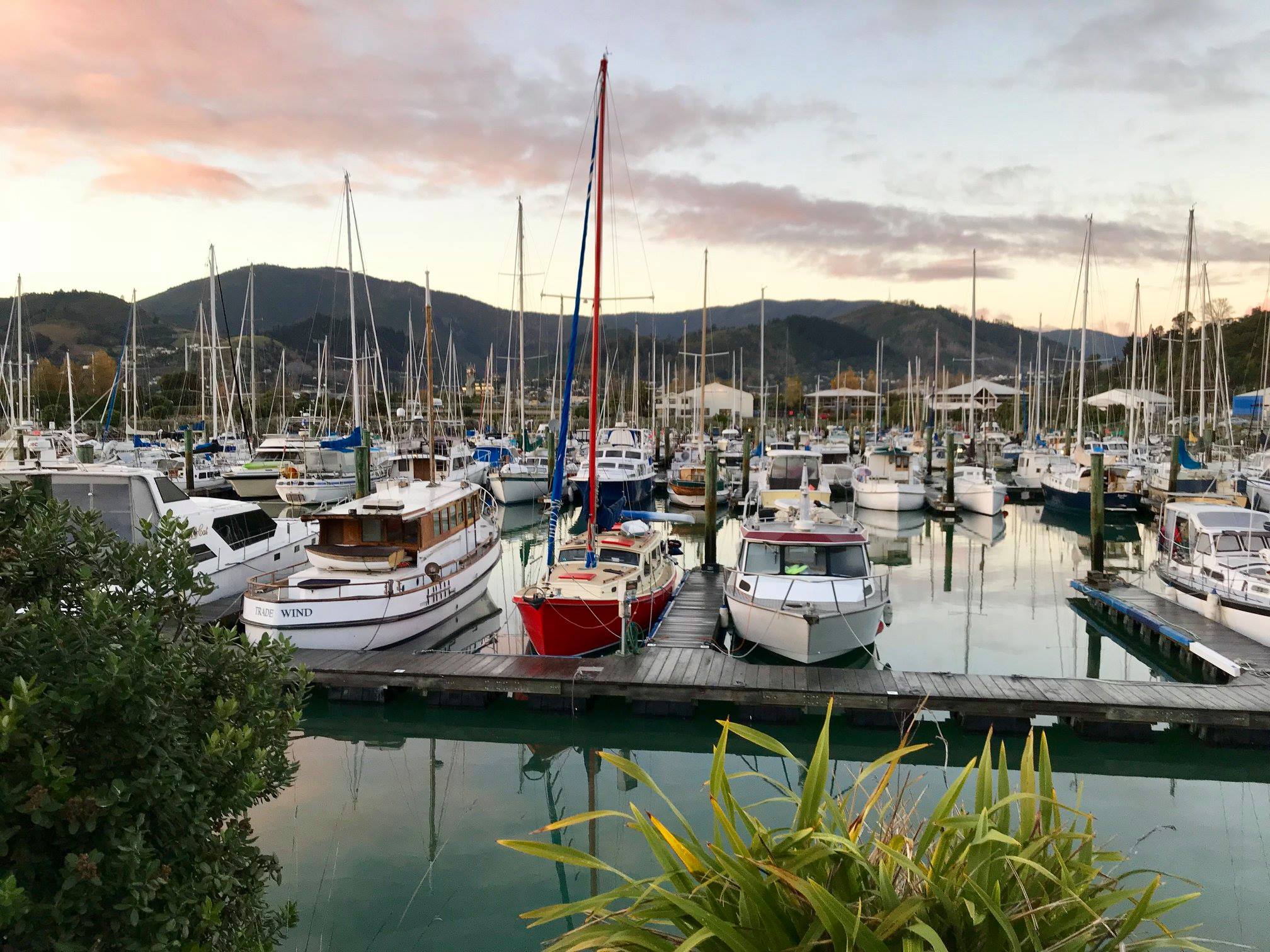Marina view from Harbourside Nelson
