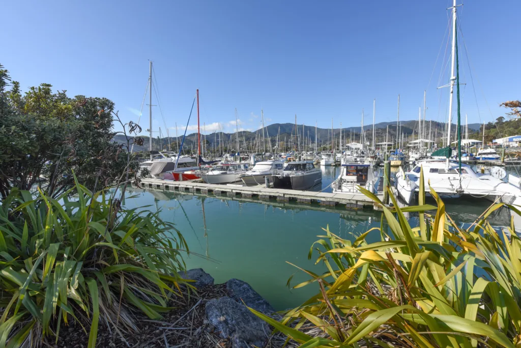 Moored yachts on Nelson Marina with native flax in the foreground