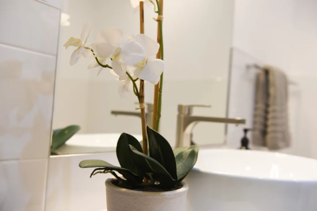 White orchid beside a vessel basin with brushed tapware in the Marina View Apartment bathroom