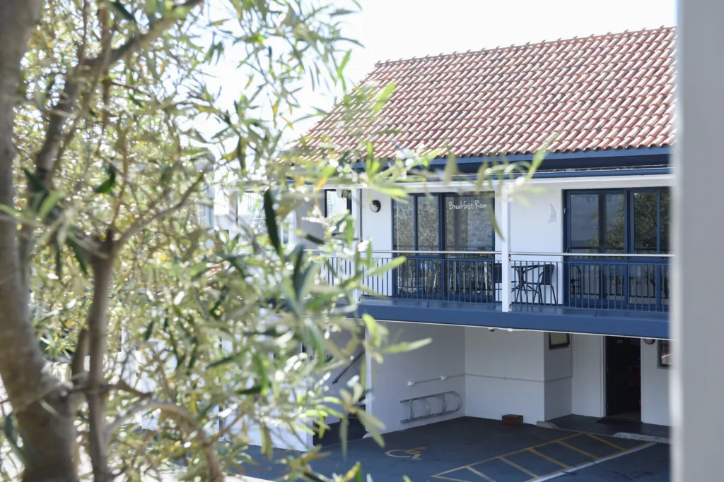 Breakfast room balcony seen through olive branches across the courtyard